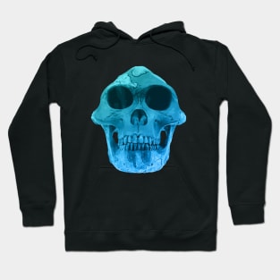 Australopithecus Afarensis "Lucy" Fossil Skull Hoodie